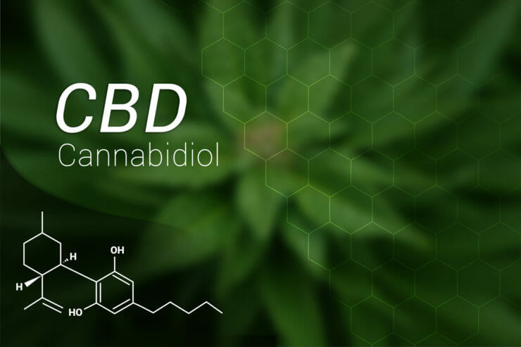 20 CBD Business Opportunities You Should Try (2021)
