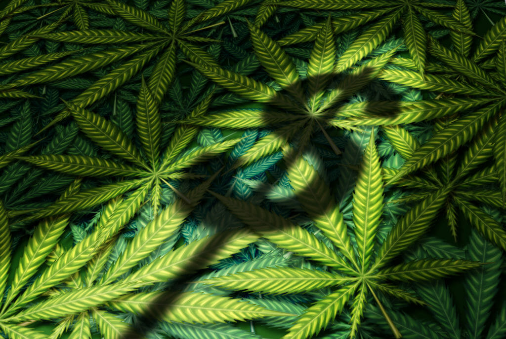 cannabis invest sec exemption
