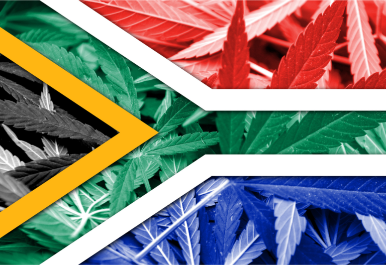 South Africa cannabis marijuana cbd