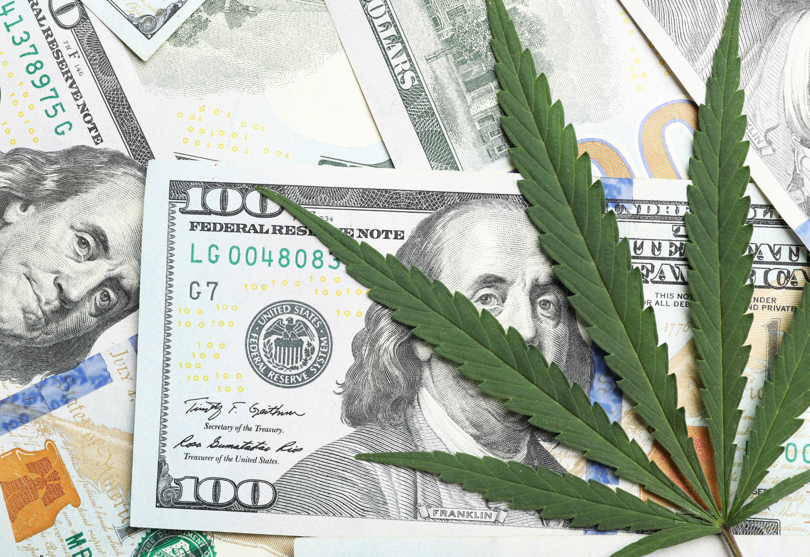 加州大麻供应链费用