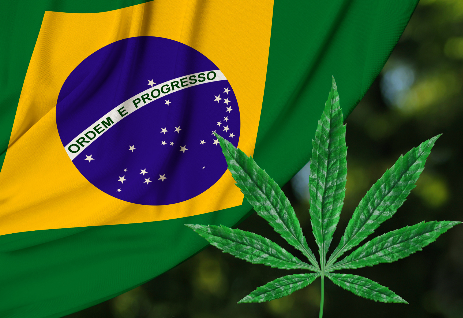 марихуана бразилия