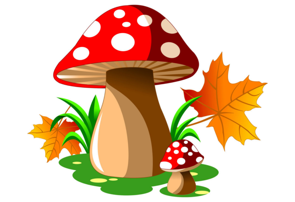 Mushrooms Decriminalization