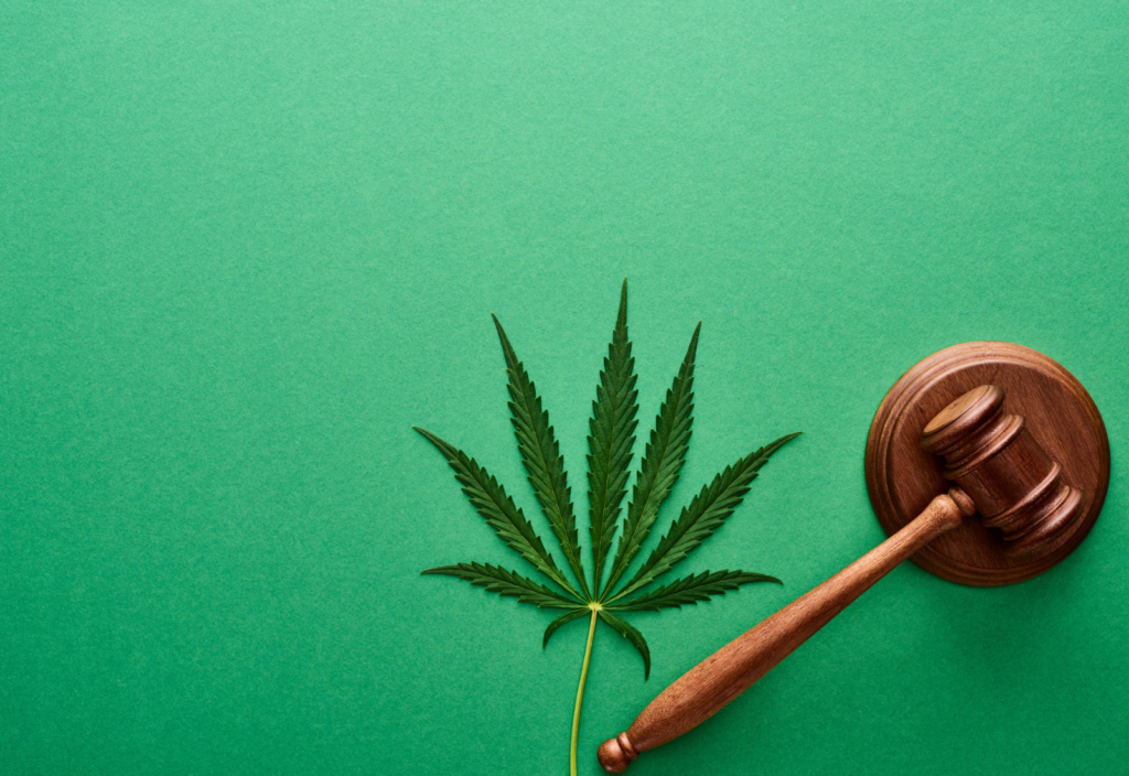 cannabis litigation