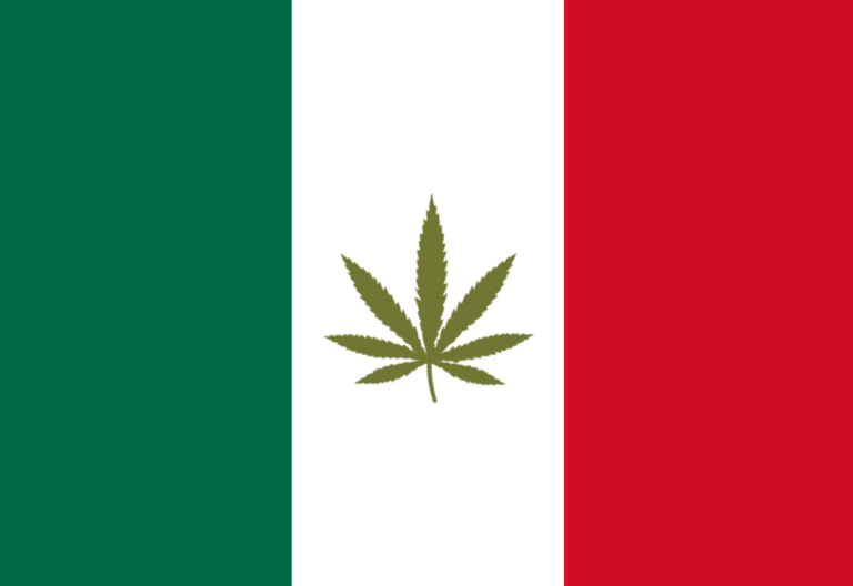 mexico cannabis marijuana