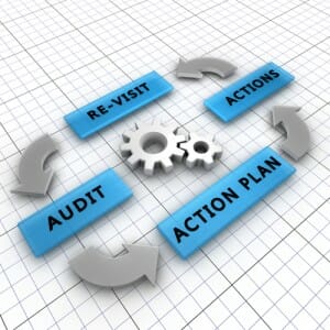 circular arrows point to action plans, actions, re-visit and audit