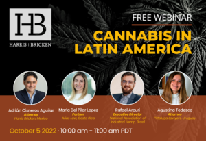 Cannabis in Latin America