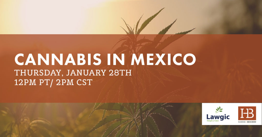 , Cannabis in Mexico: FREE Webinar Tomorrow, January 28!