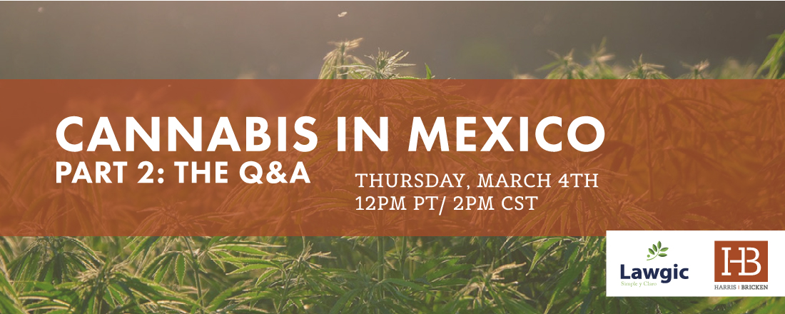photo of FREE Webinar! Cannabis in Mexico Part 2: The Q&A Session image