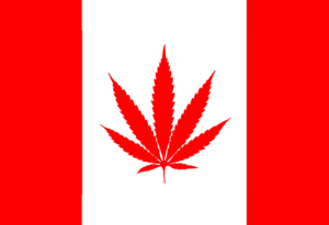 Die US-Grenze nach der Legalisierung von Cannabis in Kanada