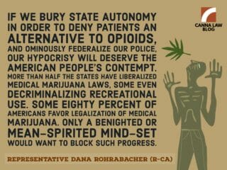 California Cannabis 