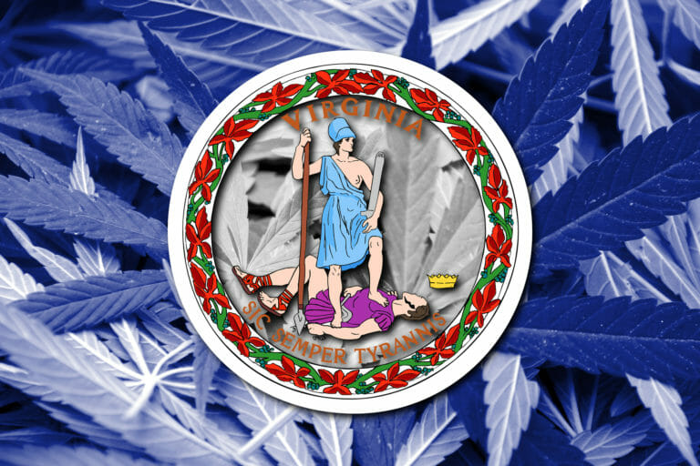 virginia flag with marijuana plants