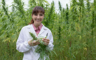hemp research Oregon contracts