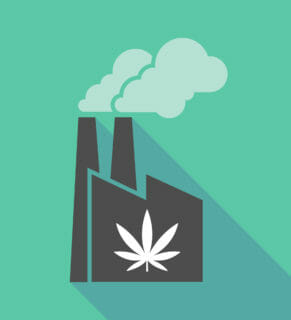 colorful cartoon of marijuana plant