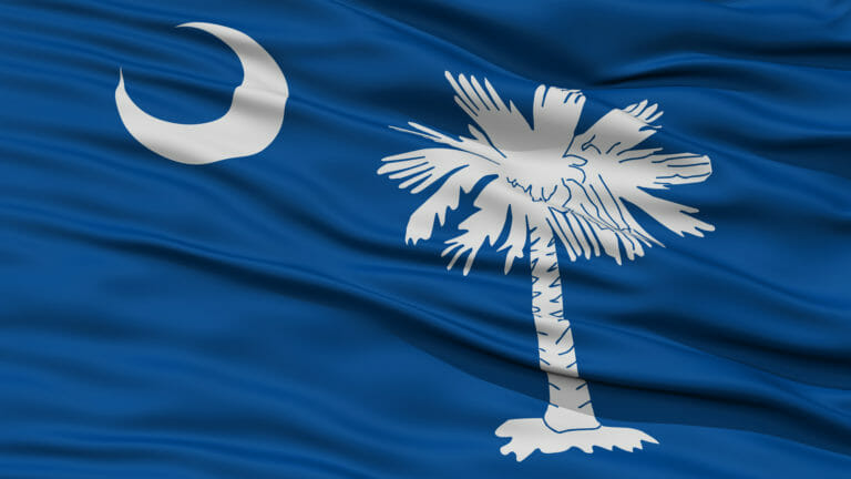 south carolina state flag