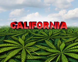 california marijuana cannabis