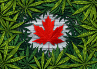 canada cannabis trademark