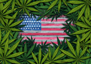 marijuana federal employment cannabis