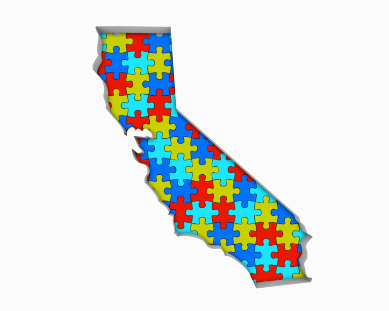 california state made from puzzle pieces