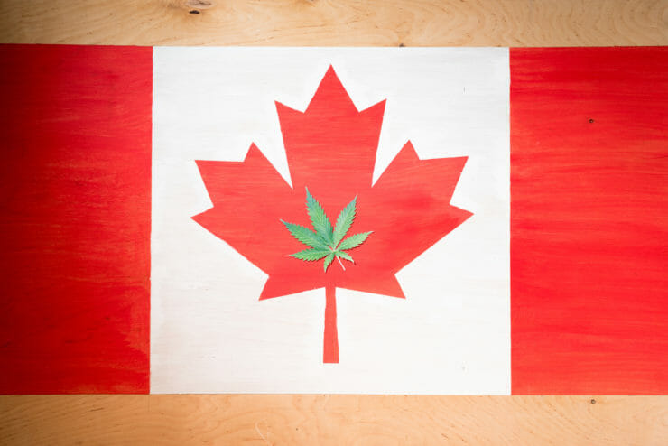 Canadian flag with marijuana