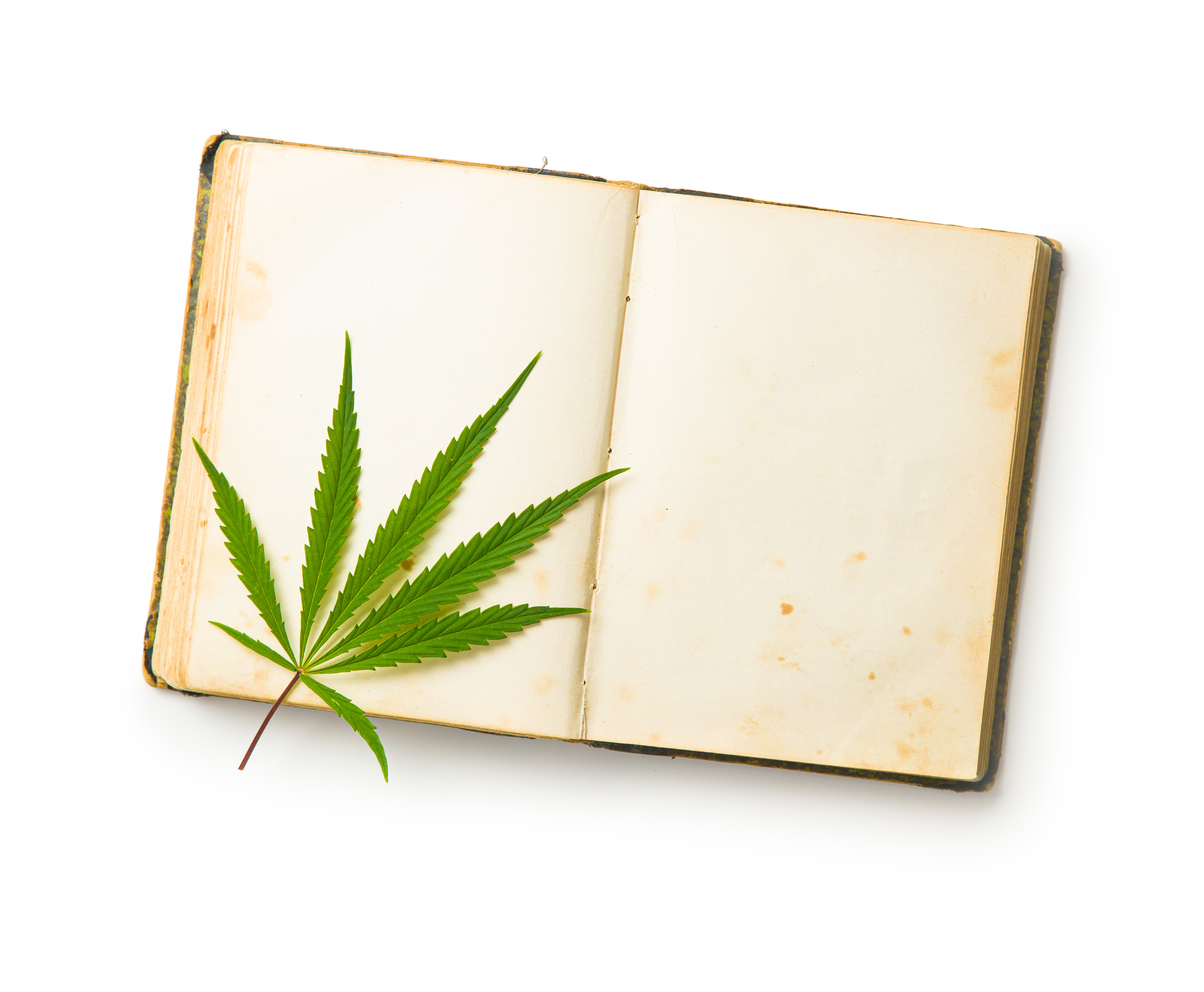 glosario del cannabis