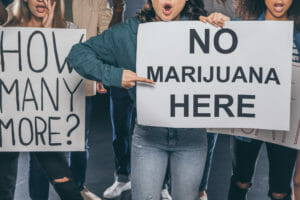 cannabis trademark dispute