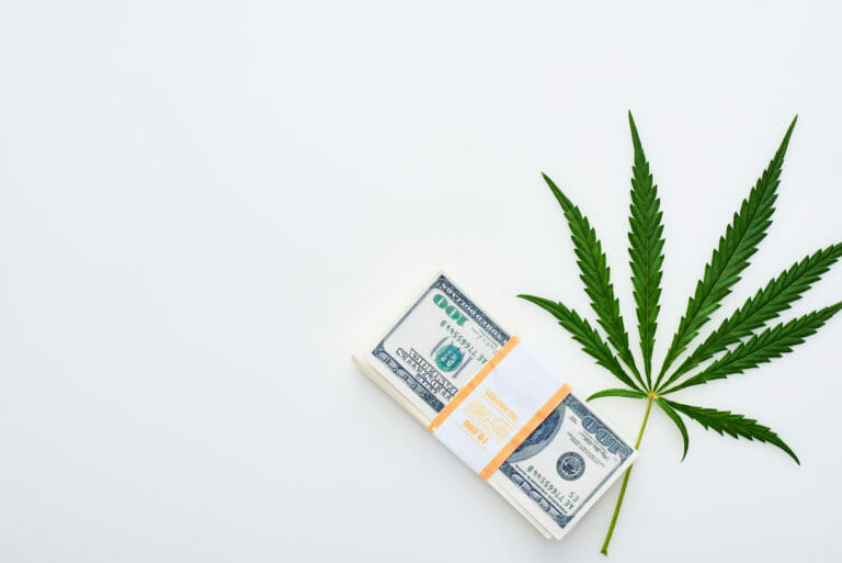 planta de marihuana y pila de dinero