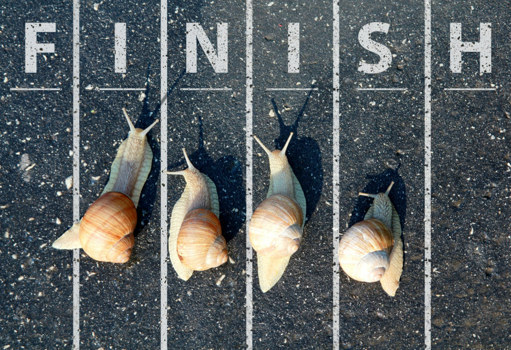 snails racing near the finish line