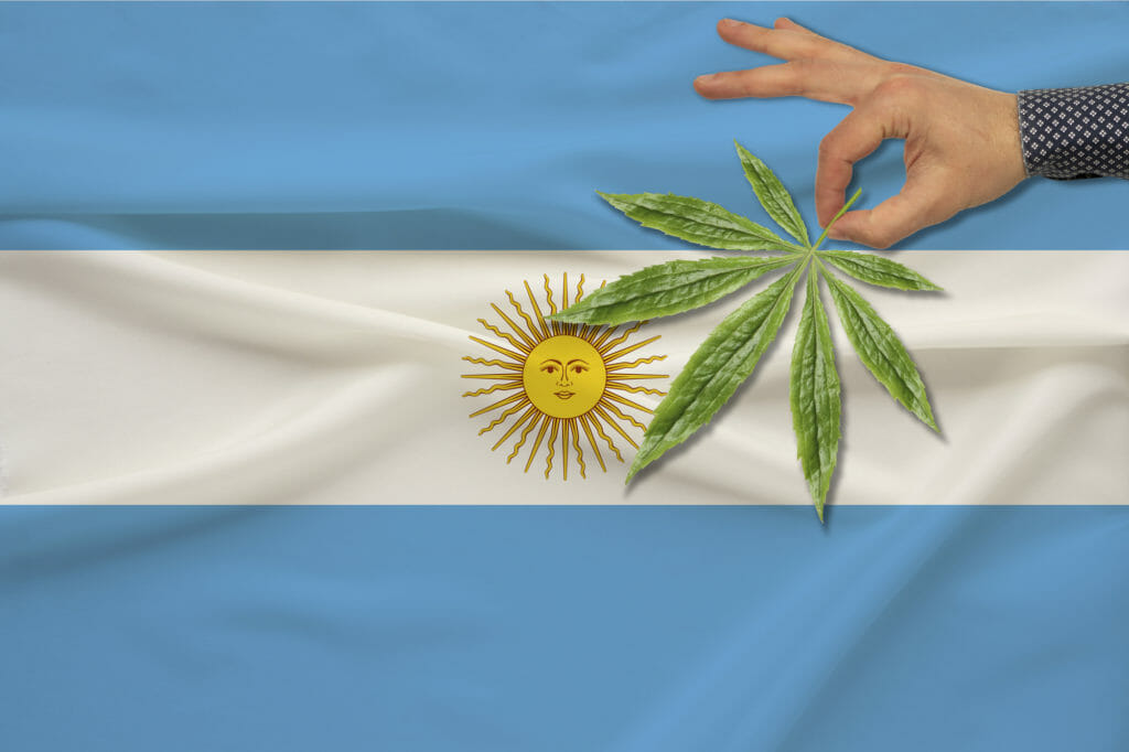 argentina cannabis