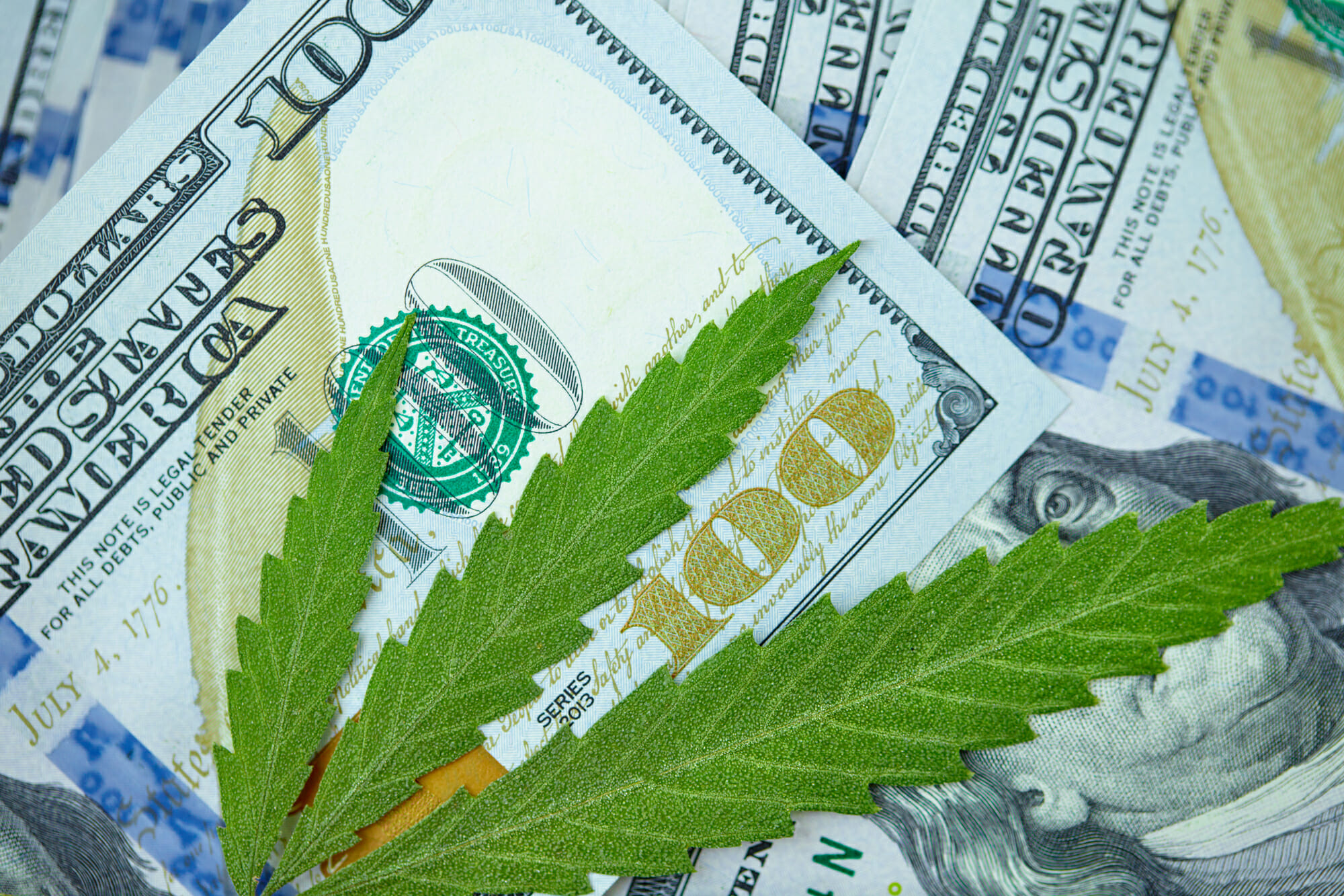 Billetes americanos de cien dólares con hojas de cannabis
