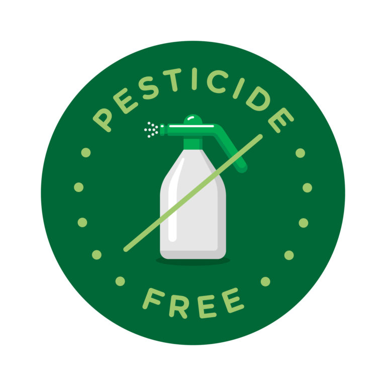 washington cannabis pesticide testing