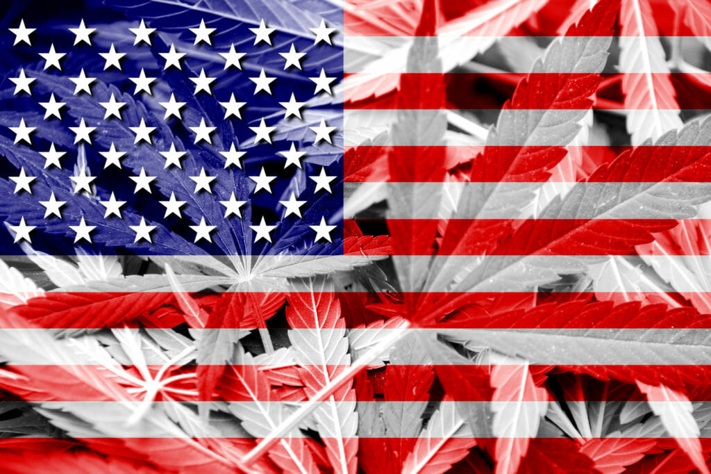 american flag with marijuana plants