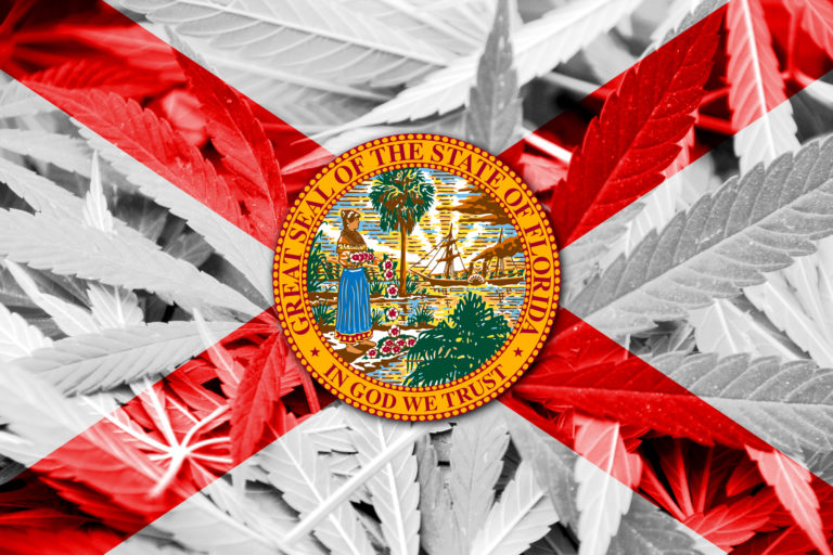 iniciativa sobre el cannabis en florida