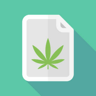 marijuana cannabis lease