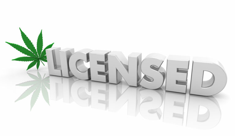 new york adult-use cannabis license application