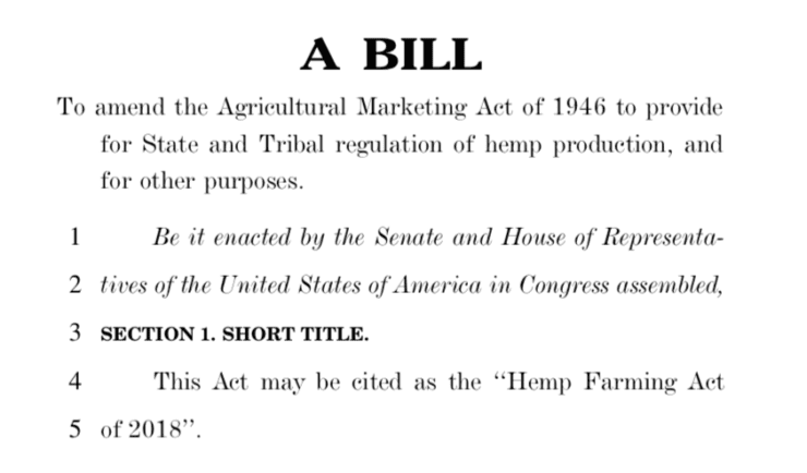 industrial hemp cannabis farm bill