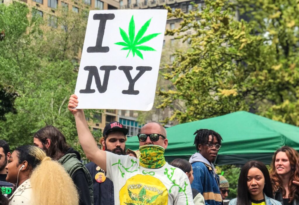 new york CAURD cannabis license