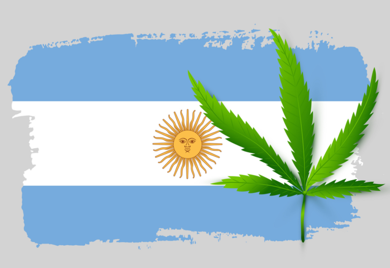 argentina hemp cannabis