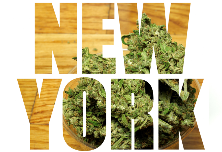 new york ccb vorgeschlagene cannabis-verordnungen
