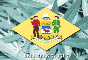 Cannabis aus Delaware