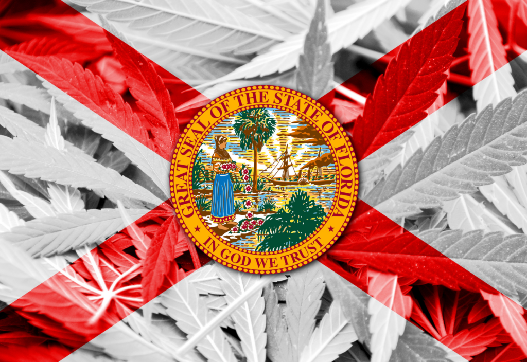 佛罗里达州大麻
