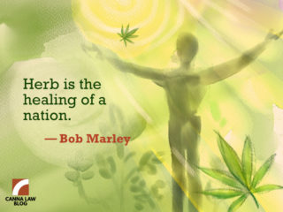 Cannabis nation