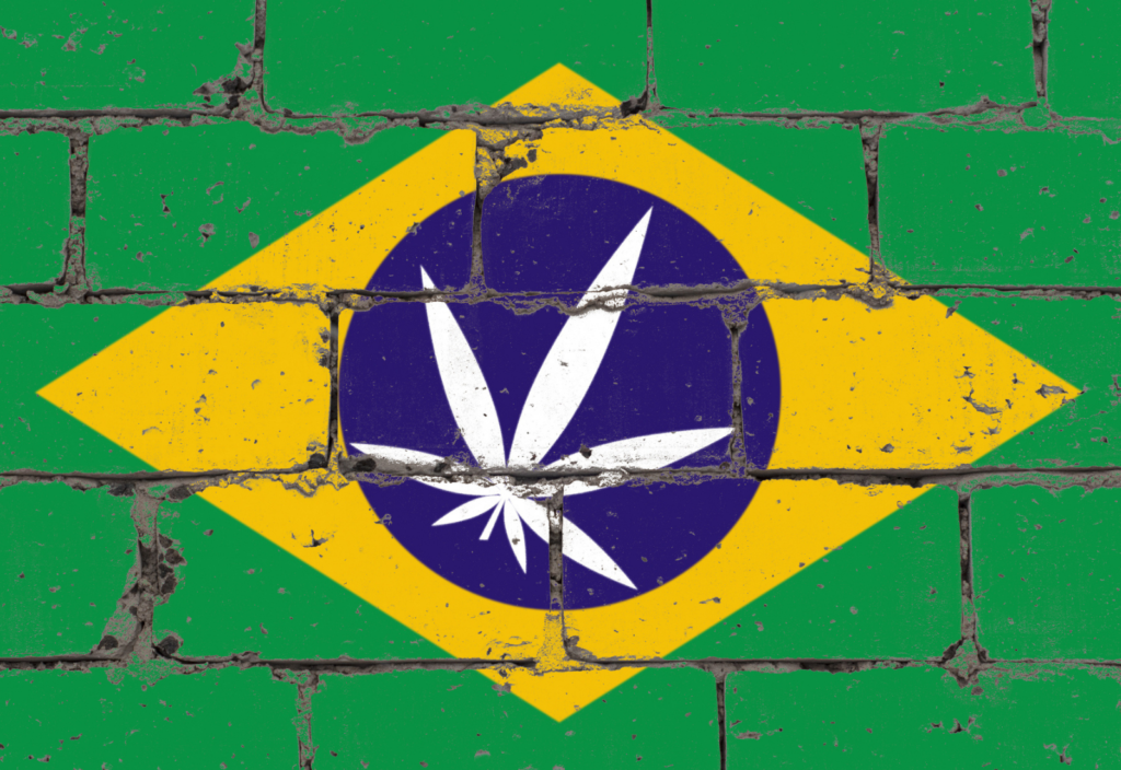 brazil marijuana cannabis