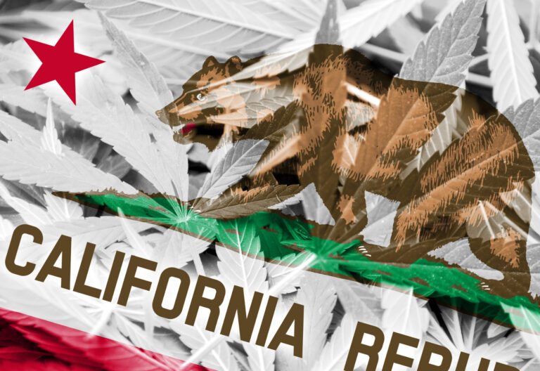 licencias de cannabis en california
