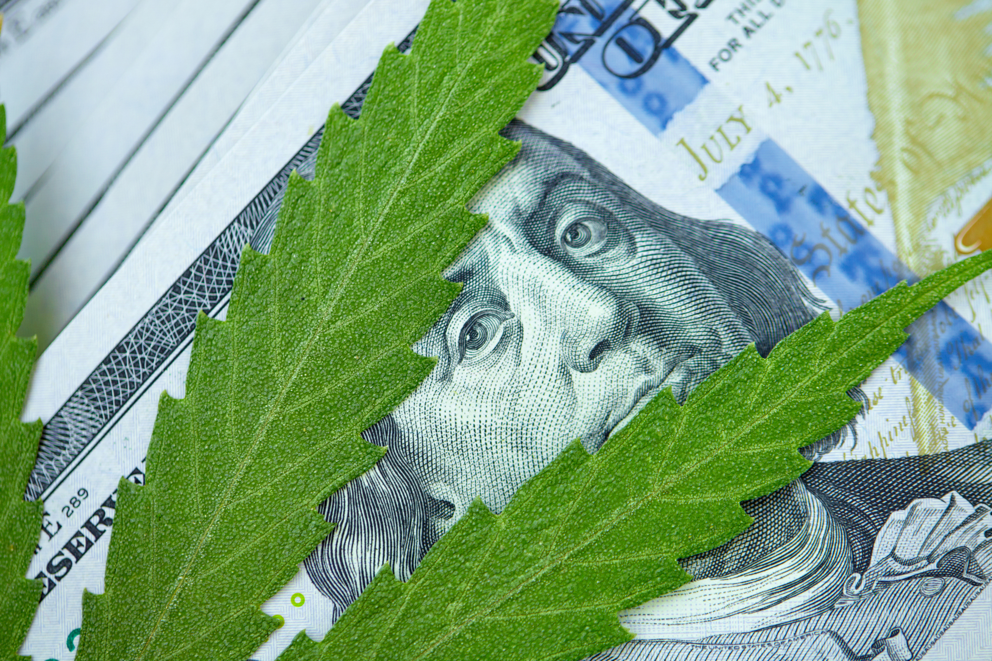 Wirtschaftliche Argumente für die Legalisierung von Cannabis
