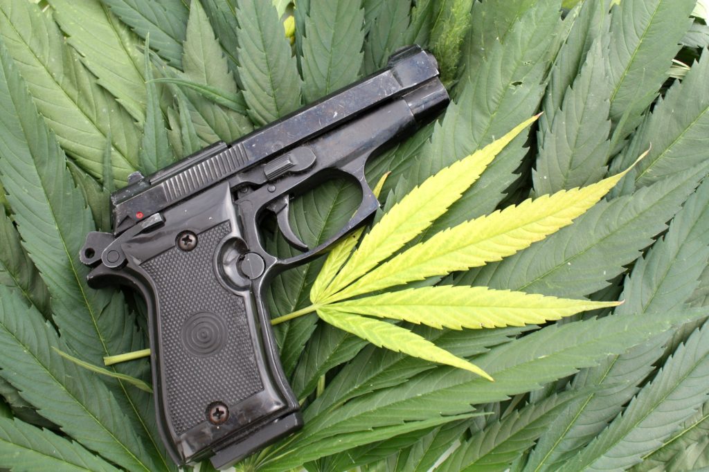 control de armas cannabis