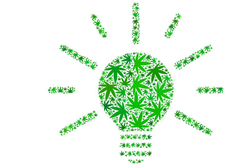 patente de cannabis