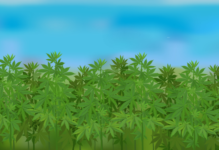科罗拉多州的大麻规则FDA