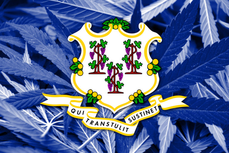 康涅狄格州 大麻 大麻