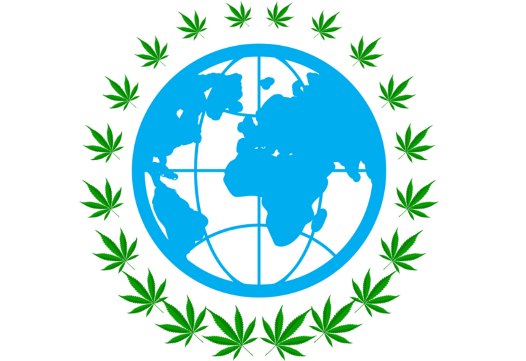 export medical cannabis