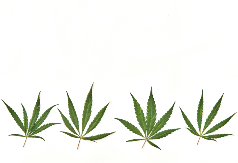 inversión extranjera directa cannabis